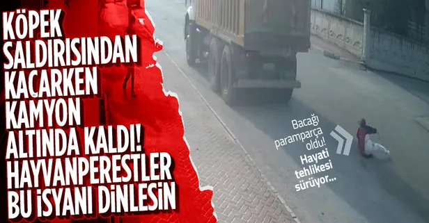 Başıboş köpek saldırısından kaçarken kamyon altında kaldı! Küçük Mahra Melin Pınar yaşam mücadelesi veriyor