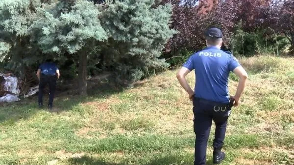 Pendik'te ormanlık alanın yakınlarındaki arazide 17 köpek ölüsü buldu-4
