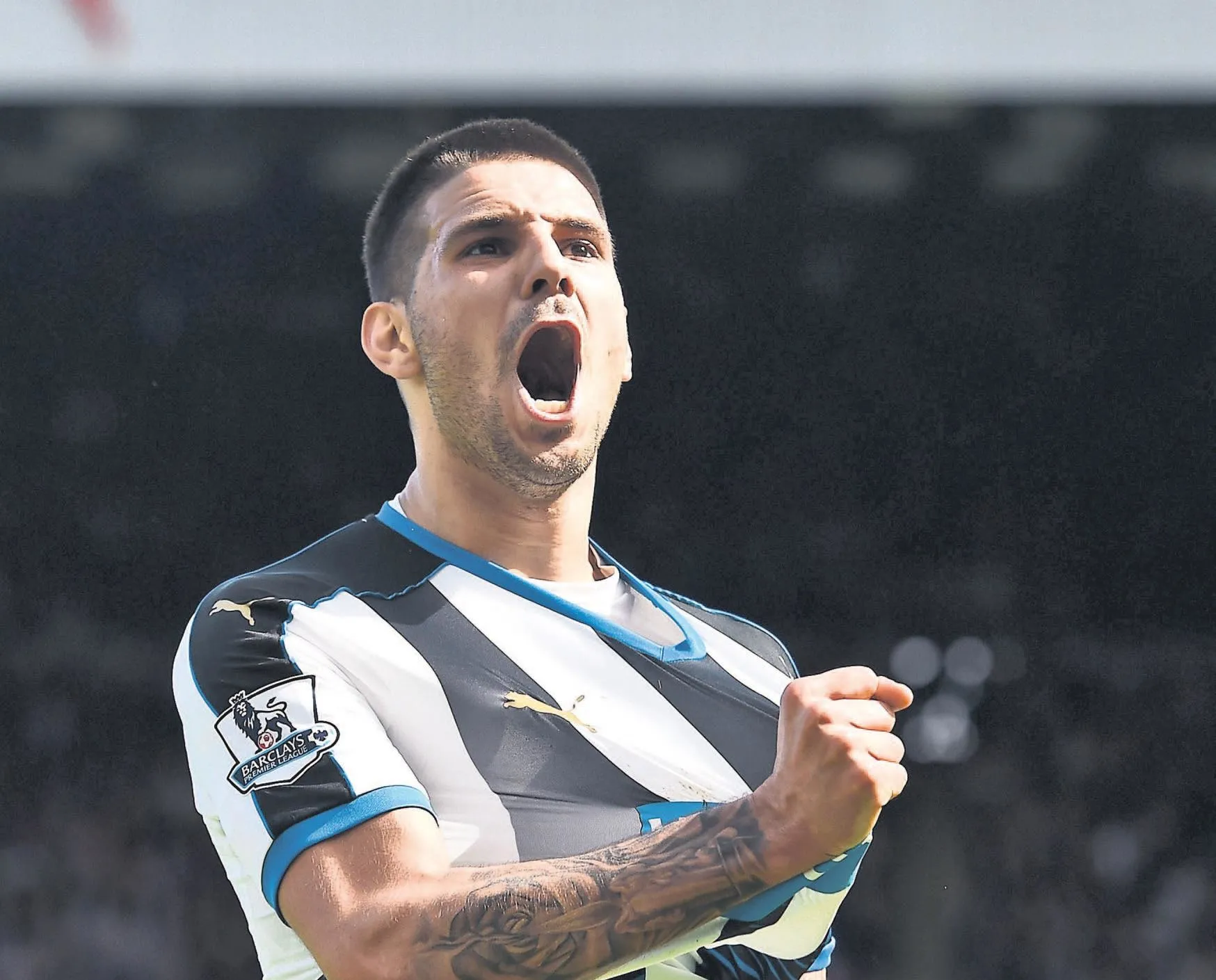 Kocaman’ın gözdesi Mitrovic