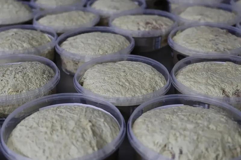 sahurda-iyi-gider-kolay-tahin-helvasi-tarifi-1741152212526.jpeg (Takvim Foto Arşiv)