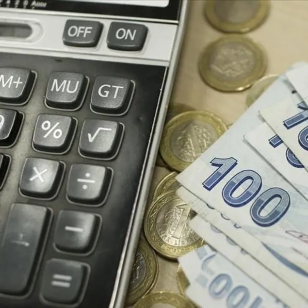Vergi denetiminden rekor çıktı
