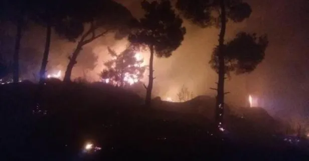 Son dakika: Aydın’daki orman yangını kontrol altına alındı