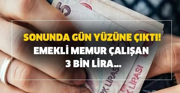 Sonunda gün yüzüne çıktı! Emekli, memur 3 bin lira…