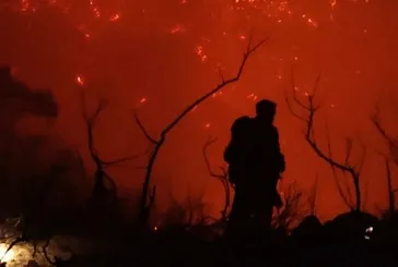 Yunanistan alevlere teslim oldu: Orman yangınlarının çıkış sebebi açıklandı! İşte her şeyi gözler önüne seren o kareler...