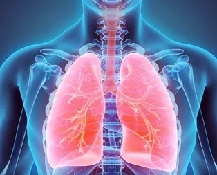 Rüyada ciğer görmek ne anlama gelir?