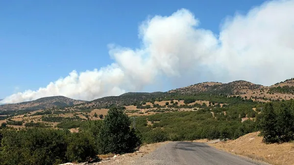 bingolde-cikan-orman-yangini-5inci-gunde-de-devam-ediyor-1630484773118.jpg Bingöl’de çıkan orman yangını 5'inci günde de devam ediyor!-2