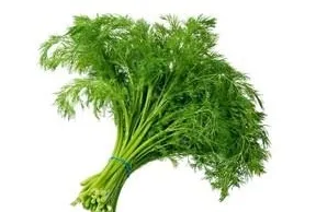 Dereotuyla iyi uykular