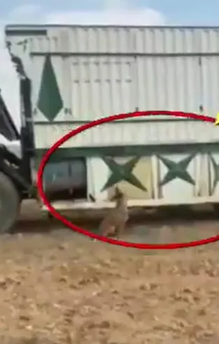 PKK/YPG'nin kalleş saldırı girişimi son anda engellendi! Suriye'de Mehmetçiğin durdurduğu patlayıcı yüklü araç imha edildi