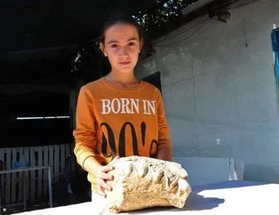 10 yaşındaki kız buldu! Milyonlarca yıllık fosil