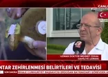 Mantar zehirlenmesi nasıl anlaşılır? Belirtileri nelerdir?