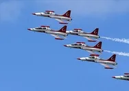 Türk Yıldızları kimdir? Türk Yıldızları ne demek?