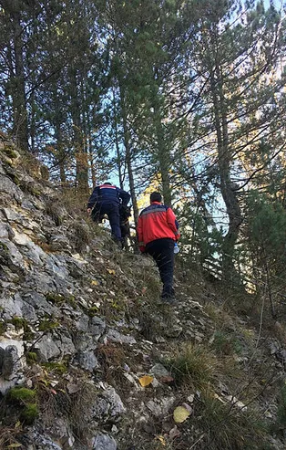 Ormanlık alanda ceset parçaları bulundu