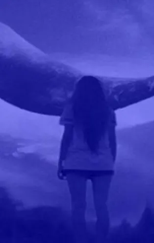 Van'da 'Mavi Balina' ölüm getirdi