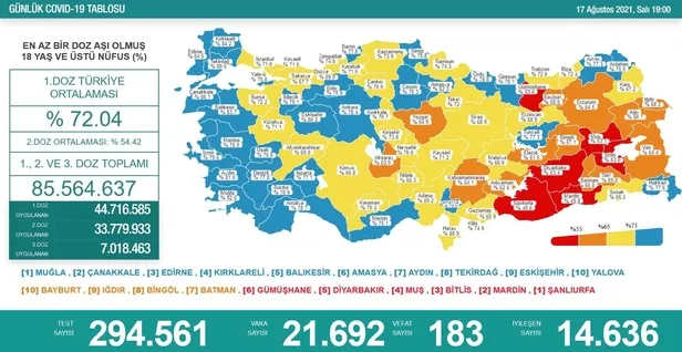SON DAKİKA: Sağlık Bakanlığı 17 Ağustos 2021 koronavirüs vaka vefat ve aşı tablosunu paylaştı! İşte son durum-1