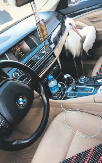 Vicdansızlık! "İnsan hayatı bu kadar ucuz olamaz"-3