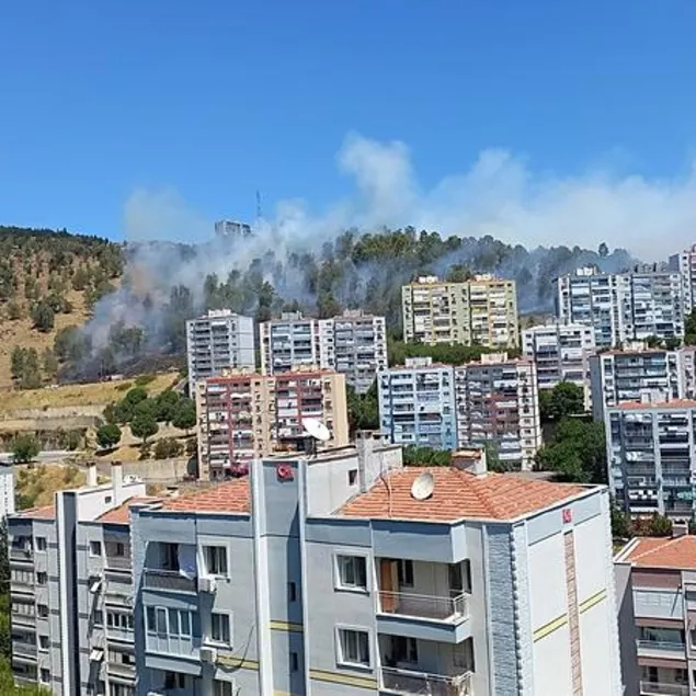 İzmir’de 3 ilçede orman yangını