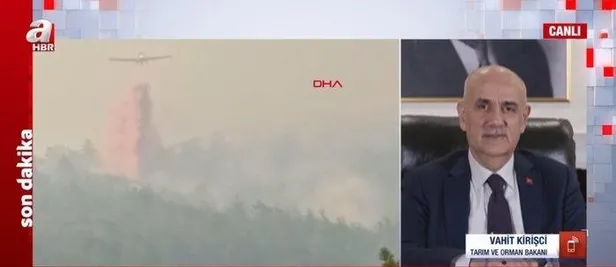 SON DAKİKA: Başkan Recep Tayyip Erdoğan Marmaris'te! Orman yangını olan bölgeyi havadan inceledi-6