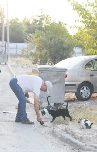 Hayvanlara fısıldayan taksici