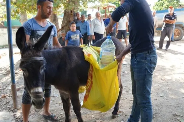 İzmir'de şimdi de su sorunu! Eşekle çözüm buldular