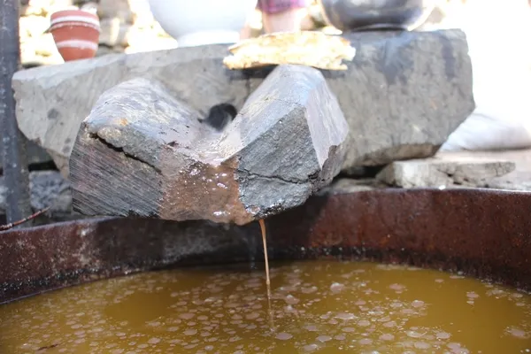 kilosu-100-tl-bu-zeytinyaginin-diger-adi-ayak-yagi-ayakla-ezilerek-yapiliyor-1644922909158.jpg Kilosu 100 TL! Bu zeytinyağının diğer adı 'ayak yağı'! Ayakla ezilerek yapılıyor-7