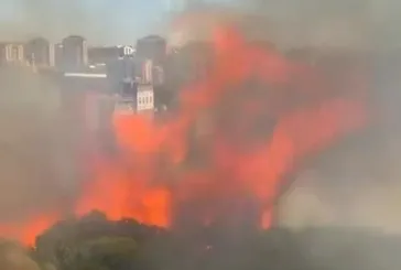 Başakşehir'de ormanlık alanda yangın! Ekipler bölgede