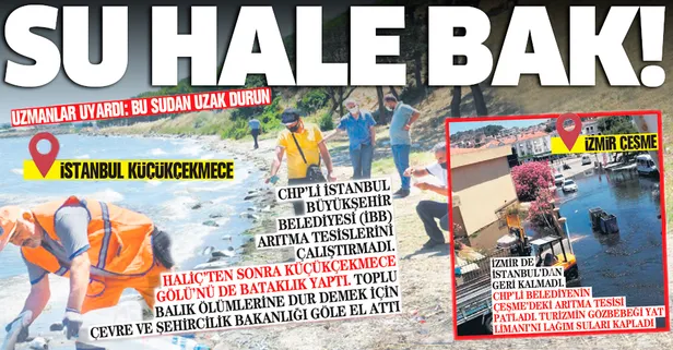 CHP'li İBB arıtma tesislerini çalıştırmadı Küçükçekmece Gölü bataklığa döndü! Uzmanlar uyardı: Bu sudan uzak durun