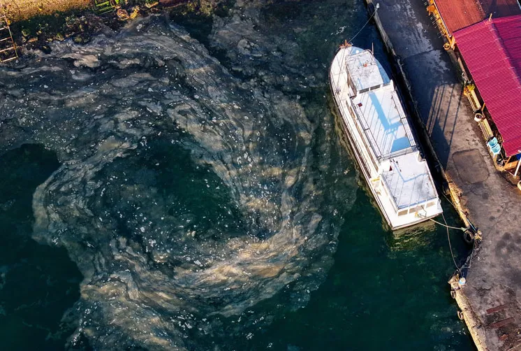 Kınalıada’da müsilaj istilası!