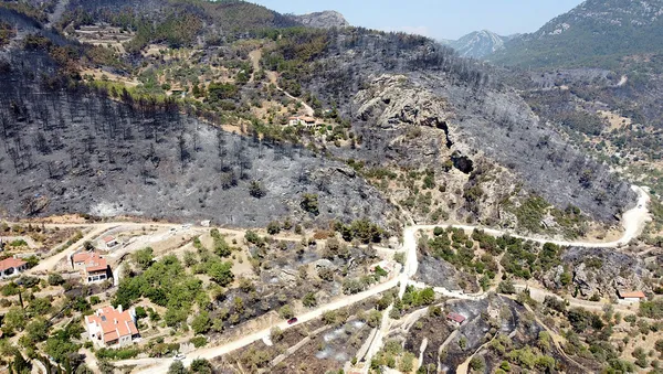 baskan-erdogan-datcada-orman-yanginiyla-mucadele-eden-ekiplere-tesekkur-etti-1657820563420.jpg Başkan Erdoğan, Datça'da orman yangınıyla mücadele eden ekiplere teşekkür etti-5