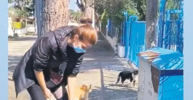 Larissa Gacemer sokak hayvanlarını unutmadı