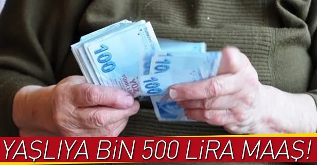 Yaşlıya 1.500 lira maaş