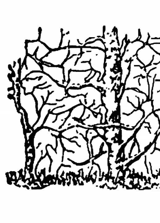 puzzledaki-zurafayi-sadece-yuksek-iqsu-olanlar-6-saniyede-buluyor-1697527737427.jpg Ağaç dallarıyla gizlenmiş zürafayı 6 saniye içinde bulabilecek misiniz?-3