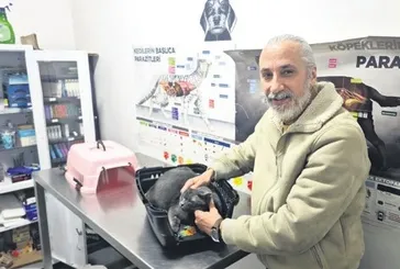 Kedi dişine yatırım