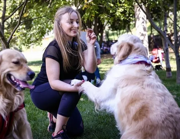 Aileyi yok eden tehlike: Çocuğun yerini köpek aldı