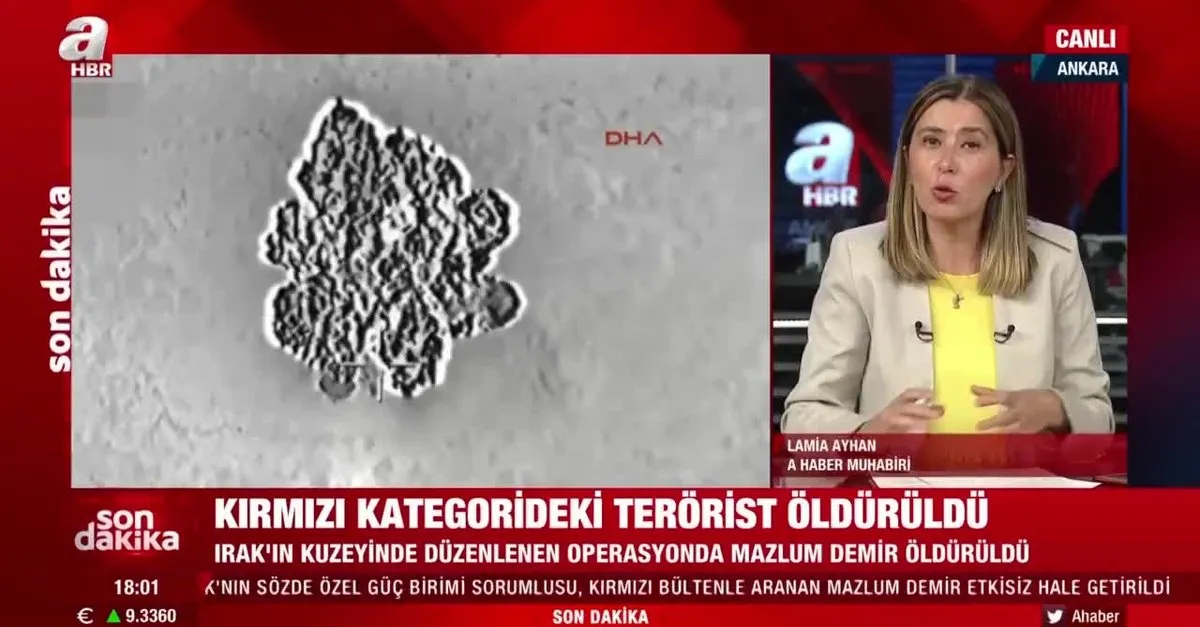 Kırmızı bültenle aranan PKK'lı terörist Mazlum Demir, MİT ve TSK'ının ortak operasyonuyla Irak'ta etkisiz hale getirildi