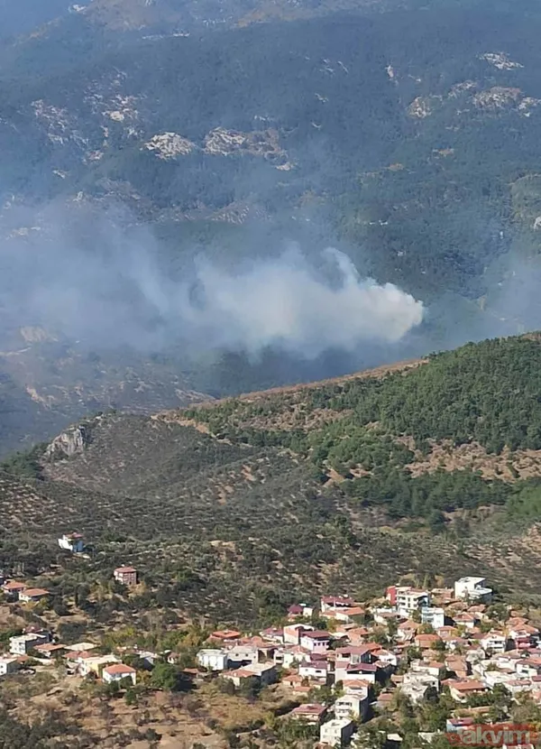 SON DAKİKA: Kazdağları'nda orman yangını! 3 saatlik müdahaleyle kontrol altına alındı - 2