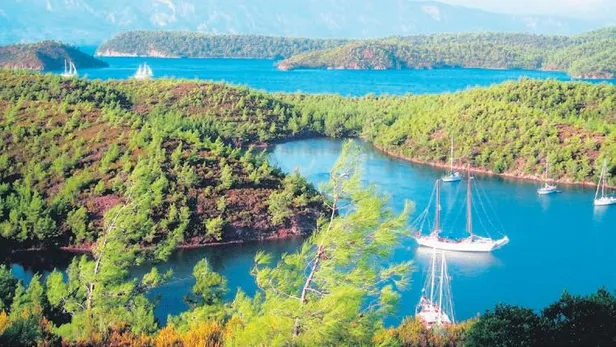 Sedat Uyar, 'gayrimenkul zenginiyim' diyen Fatih Aydın'a güvendi! Dolandırıldı-1