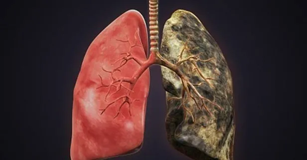 Her bir sigaranın içimi, akciğere kızgın bir iğnenin batması kadar zarar veriyor