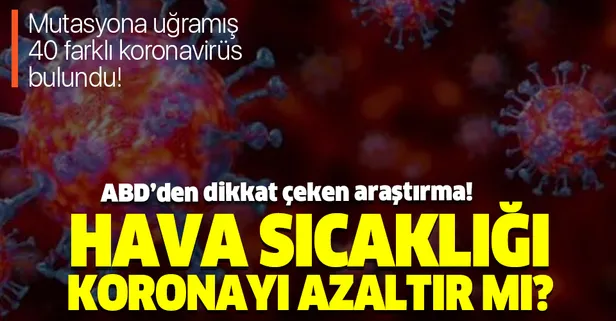 Son dakika: Hava sıcaklığı corona virüsü azaltır mı? ABD'den çarpıcı araştırma!
