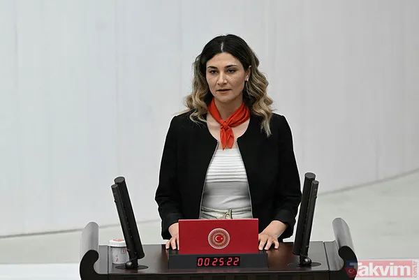 Türkiye Büyük Millet Meclisi'nde yeni dönem başladı! Milletvekilleri yemin ediyor… - 42