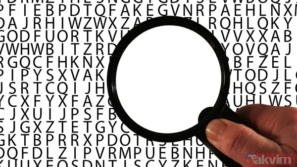 Tek bir kelime koca yılı anlatacak! TDK duyurdu: 2025’in kelimesi için oylama başladı - 11