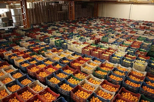 Gıda fiyatlarında hal manipülasyonu! Hallerdeki mafyatik düzen kırılmalı