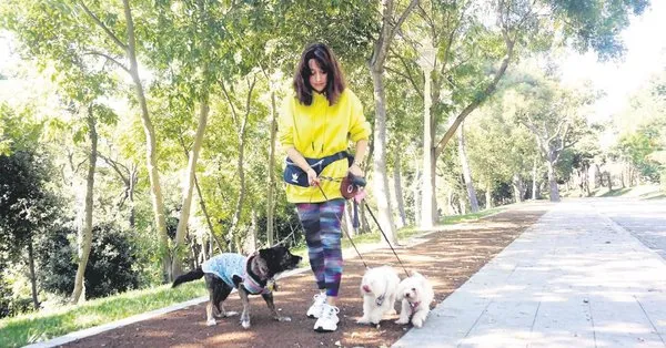 Her Adimda Para Kazaniyorlar Kopek Gezdirerek Ayda 5 6 Bin Lira Kazaniyorlar Takvim