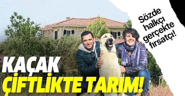 FOX TV'den ayrılan Fatih Portakal'dan kaçak çiftlikte tarım!