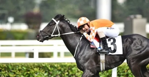 SON DAKİKA: 96. Gazi Koşusu’nda yarışacak atlar ilan edildi
