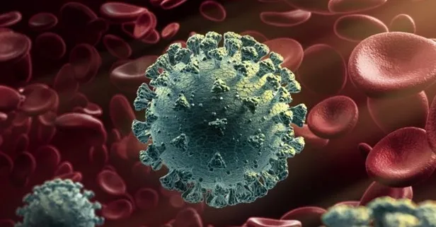 Güney Afrika varyantı belirtileri nedir, nasıl bulaşır? C.1.2 nedir? C.1.2 varyantı yan etkileri nelerdir?