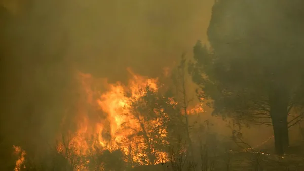 afet-bolgesi-ilan-edilince-ne-olur-afet-bolgesi-ne-demek-afet-bolgesi-ilan-edilen-yerler-nereler-1627739517622.jpg Afet bölgesi ilan edilince ne olur? Afet bölgesi ne demek? Afet bölgesi ilan edilen yerler nereler?-2