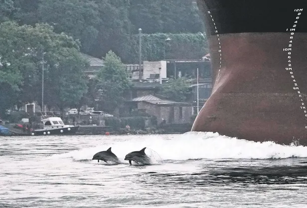 Yıllarca kanserle savaşan Buğlem Yılmaz hastane odasında 50'ye yakın tablo yaptı!-8