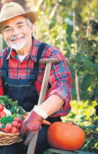 Bakan Şimşek tarladan sofraya süreci değerlendirdi