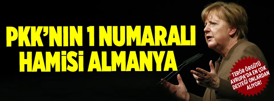 Merkel'in zoruna gitmiş!-2