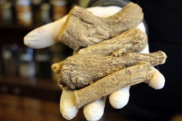 turkiyedeki-koronavirus-salgini-udi-hindi-bitkisine-talebi-artirdi-satislar-400-kat-artti-1610173088623.jpg Türkiye'deki koronavirüs salgını Udi Hindi bitkisine talebi artırdı! Satışlar 400 kat arttı-3